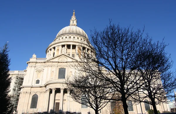 St. Pauls Cathedral — Stock Photo, Image