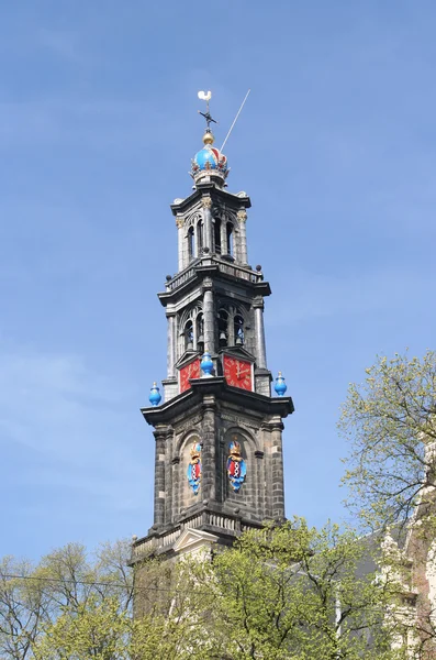 Westerkerk tower — Stock Photo, Image