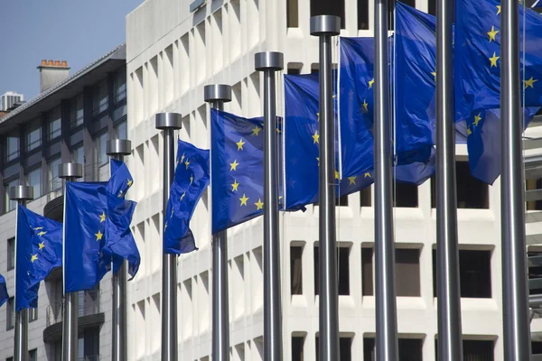 Flaggen der Europäischen Union in Brüssel — Stockfoto