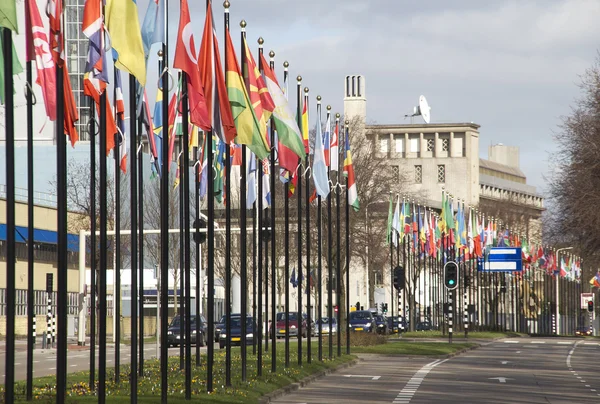 Drapeaux internationaux à La Haye — Photo