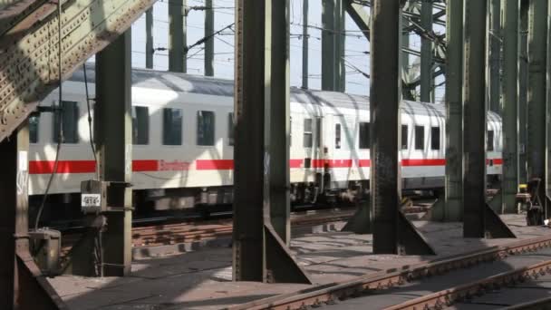 Trenes en Colonia, Alemania — Vídeo de stock