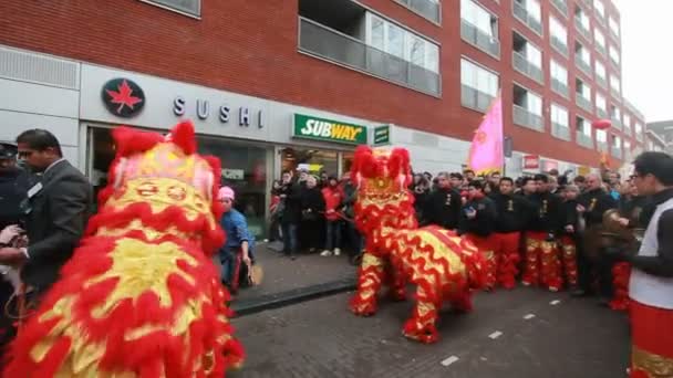 Ano novo chinês — Vídeo de Stock