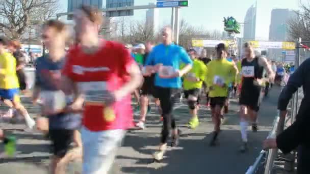 Corredores en una media maratón en La Haya, Holanda — Vídeo de stock