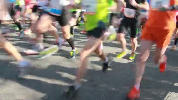 Corredores em meia maratona em Haia, Holanda — Vídeo de Stock