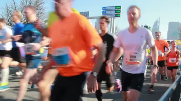 Corredores en una media maratón en La Haya, Holanda — Vídeo de stock