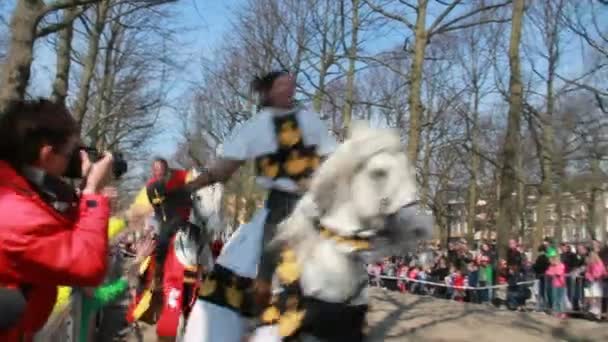 Medieval knights joust — Stock Video