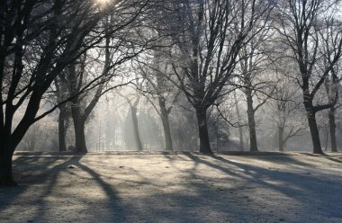Kış sabahı Hollanda'da