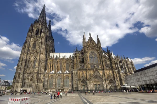 La gente ammira la Cattedrale di Colonia in Germania — Foto Stock