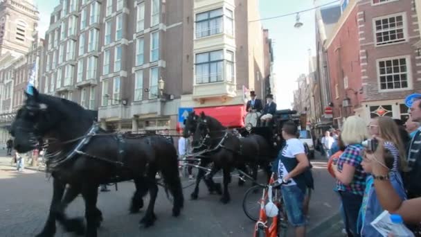 Koń i Buggy w Amsterdamie — Wideo stockowe