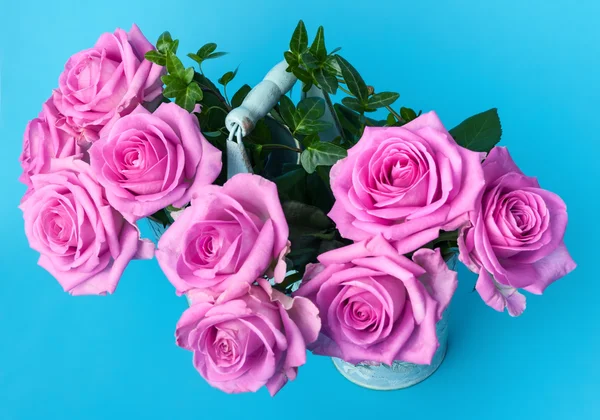 Prachtige roze rozen — Stockfoto