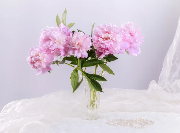 Beautiful pink peonies — Stock Photo, Image