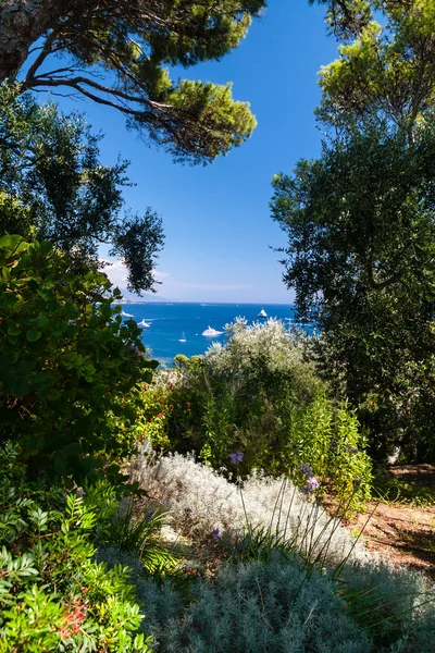 Hermoso jardín mediterráneo — Foto de Stock
