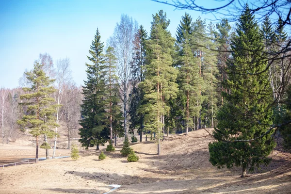 Jarní krajina Pavlovsk — Stock fotografie