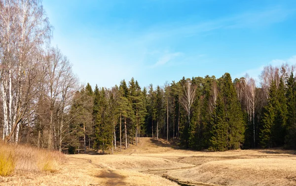 Paisagem de primavera no Pavlovsk — Fotografia de Stock