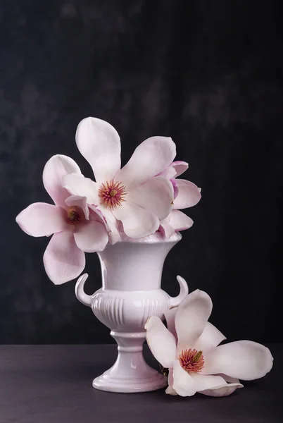 Stilleven met bloeiende magnolia — Stockfoto