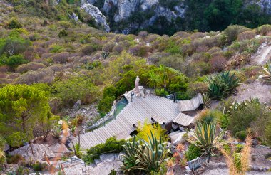Exotic garden