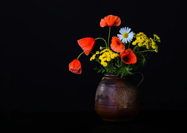 Still life with poppies — Stock Photo, Image