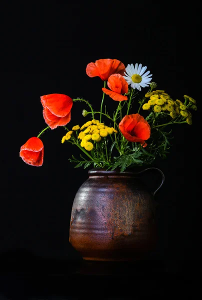 Stilleven met papaver — Stockfoto