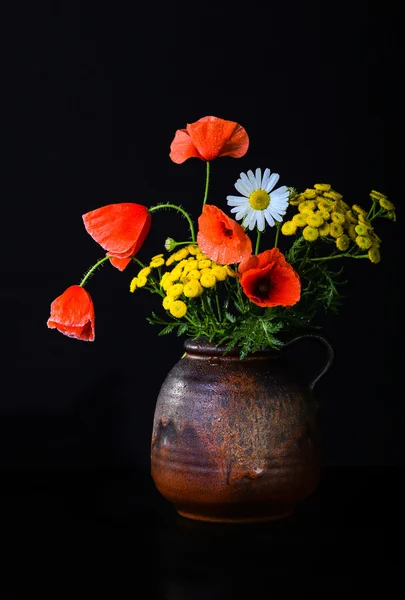 Still life with poppies — Stock Photo, Image