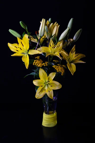 Yellow lily — Stock Photo, Image