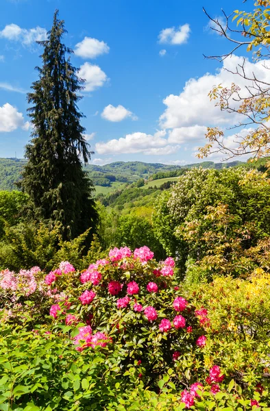 Paisaje primavera — Foto de Stock