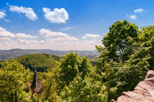 Paisaje primavera — Foto de Stock