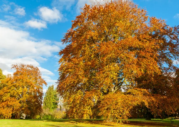 Herfstlandschap — Stockfoto