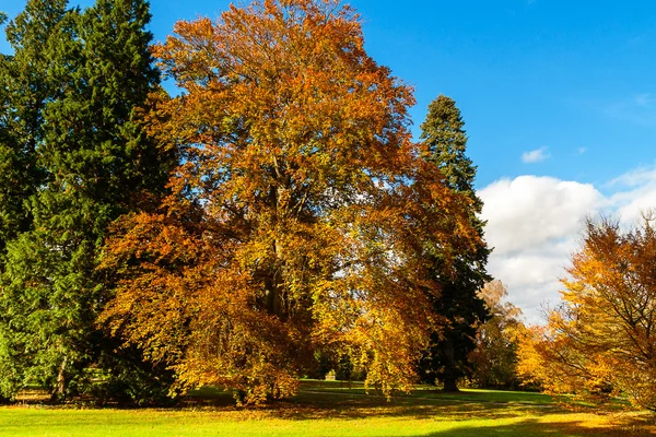 Herfstlandschap — Stockfoto