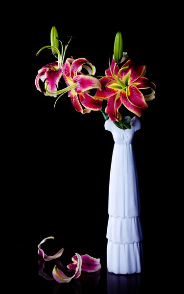 핑크 백합 꽃 — 스톡 사진