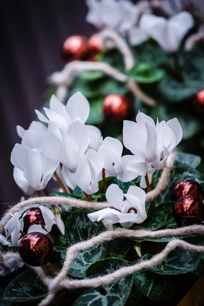 Decoraciones de Navidad — Foto de Stock