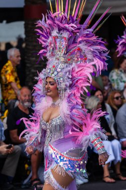 Santa Cruz de Tenerife, İspanya, 17 Şubat 2026. Avrupa 'nın en büyük sokak karnavallarından biri olan Santa Cruz de Tenerife Karnavalı sırasında muhteşem renkli kostümler içinde gösteri yapanlar.