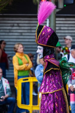 Santa Cruz de Tenerife, İspanya, 17 Şubat 2026. Avrupa 'nın en büyük sokak karnavallarından biri olan Santa Cruz de Tenerife Karnavalı sırasında muhteşem renkli kostümler içinde gösteri yapanlar.