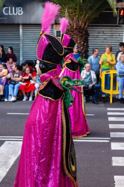 Santa Cruz de Tenerife, Spain,  February 17, 2026. Performers in spectacular colorful costumes parade during the Carnival of Santa Cruz de Tenerife, one of the largest street carnivals in Europe.