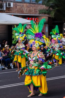 Santa Cruz de Tenerife, Spain,  February 17, 2026. Performers in spectacular colorful costumes parade during the Carnival of Santa Cruz de Tenerife, one of the largest street carnivals in Europe.