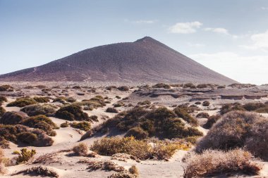 İspanya 'nın Kanarya Adaları, Tenerife, El Medano yakınlarındaki Doğal Montana Roja volkanik manzarası. Altın kum tepeleri ve dramatik volkanik dağ Atlantik kıyısında çarpıcı bir çöl manzarası yaratır. Hiki ile bilinen korunan doğal alan.