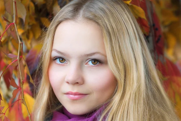 Güzel bir sonbahar kız portresi — Stok fotoğraf