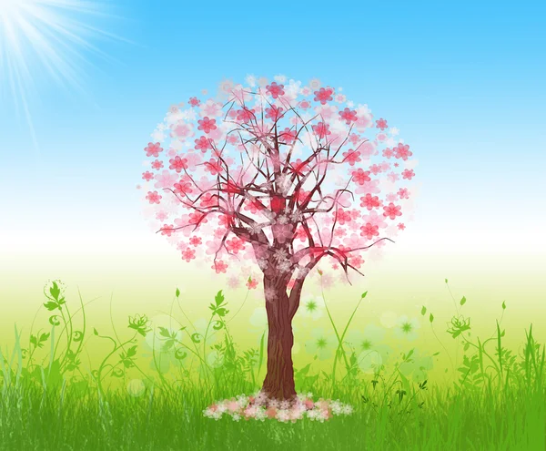 Frühling Baum Hintergrund — Stockfoto