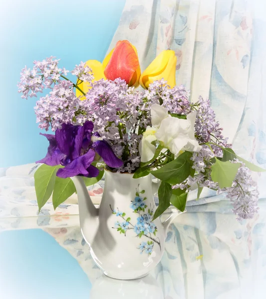 Beautiful spring flowers — Stock Photo, Image