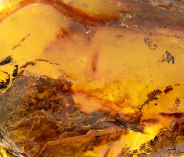 Baltık amber, reçine kesimleri