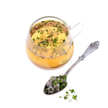 Thymus vulgaris / Common Thyme/
