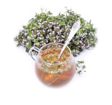 Thymus vulgaris / Common Thyme/