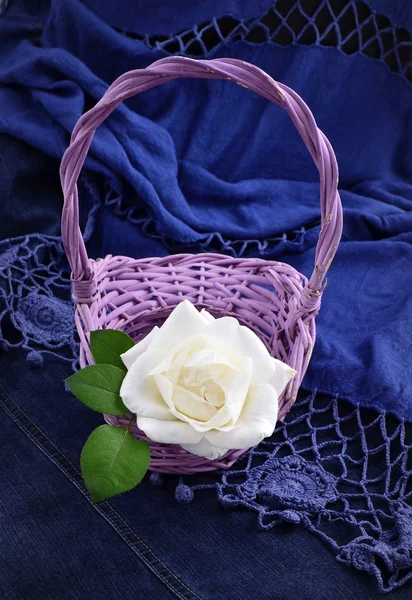 蓝色背景上的白玫瑰 — 图库照片