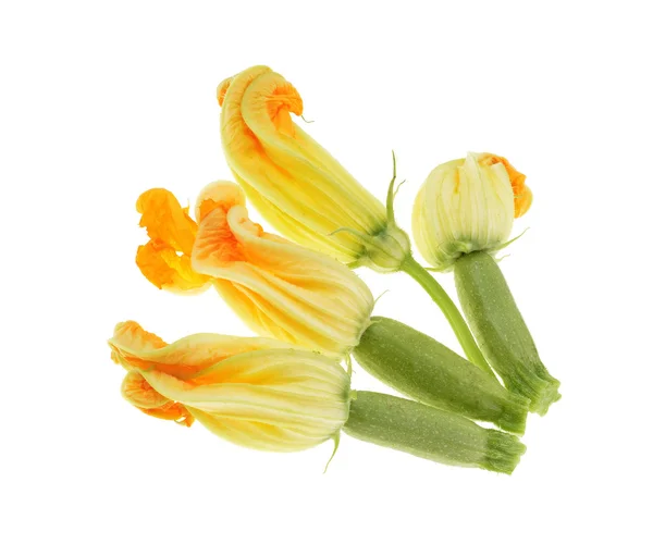 Yellow zucchini blossoms — Stock Photo, Image