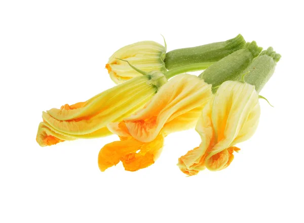 Yellow zucchini blossoms — Stock Photo, Image