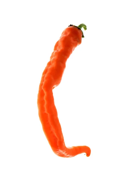 Oranžové hot chili pepper — Stock fotografie