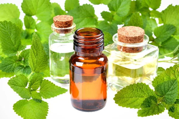 Extract Van Melissa Officinalis Fles Met Bladeren Geïsoleerd Een Witte — Stockfoto