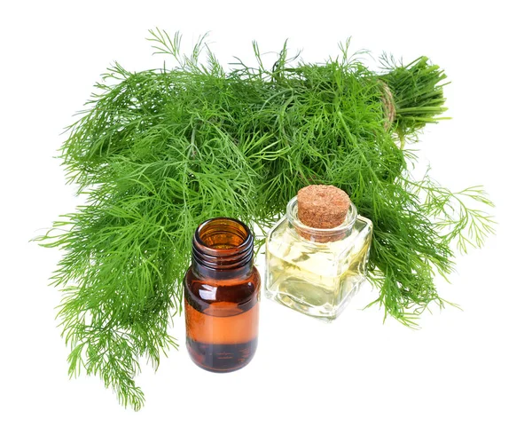 stock image Bottle of essential oil,fresh dill herb isolated on white backgroun