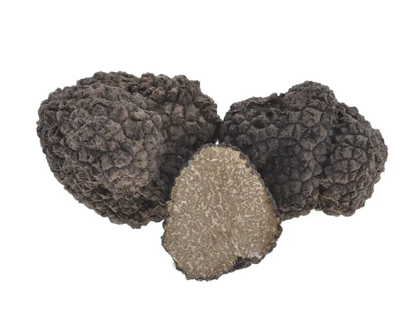 Delicatezza Fungo Tartufo Nero Uno Sfondo Bianco Isolato — Foto Stock