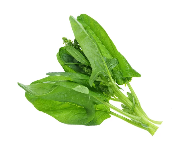 Fresh Spinach Leaves Spinacia Isolated White Background — Stock Photo, Image