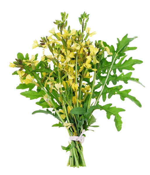 Folhas Frescas Arugula Flores Amarelas Arugula Sobre Fundo Branco Isolado — Fotografia de Stock